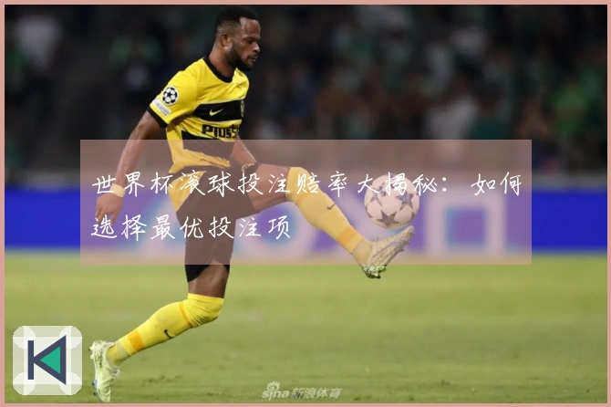 世界杯滚球投注赔率大揭秘：如何选择最优投注项