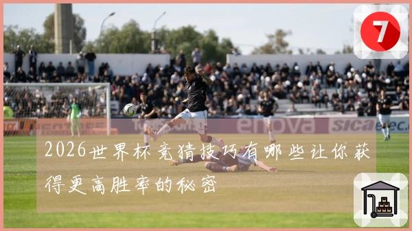 2026世界杯竞猜技巧有哪些让你获得更高胜率的秘密