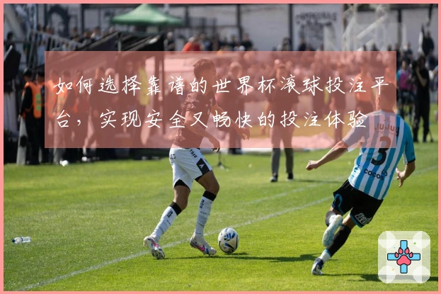 如何选择靠谱的世界杯滚球投注平台，实现安全又畅快的投注体验
