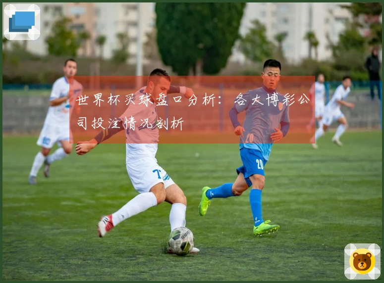 世界杯买球盘口分析：各大博彩公司投注情况剖析