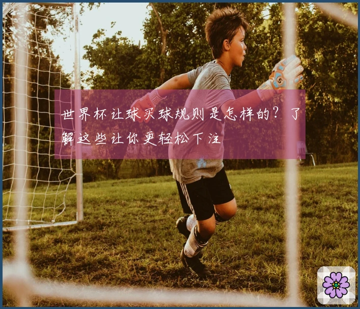 世界杯让球买球规则是怎样的？了解这些让你更轻松下注