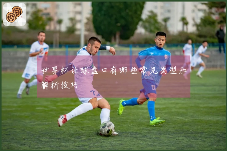 世界杯让球盘口有哪些常见类型和解析技巧