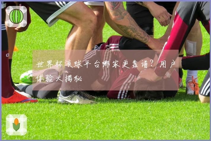 世界杯滚球平台哪家更靠谱？用户体验大揭秘