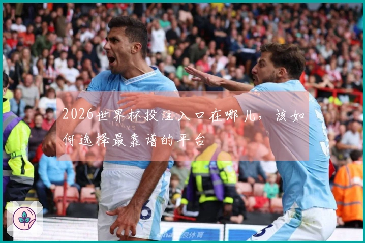 2026世界杯投注入口在哪儿，该如何选择最靠谱的平台