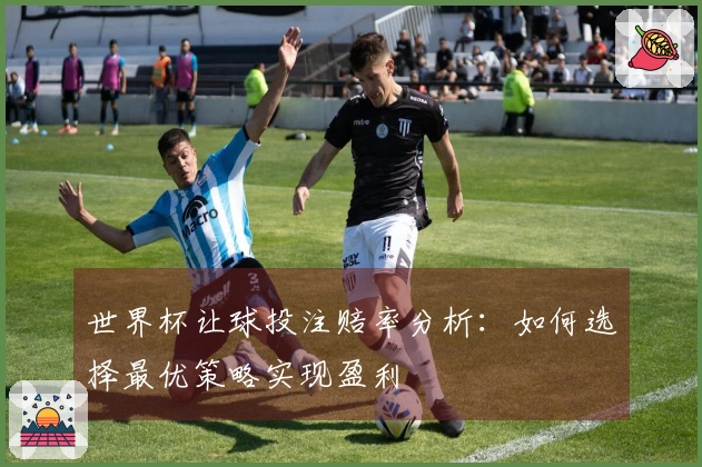 世界杯让球投注赔率分析：如何选择最优策略实现盈利