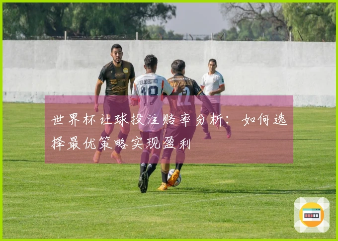 世界杯让球投注赔率分析：如何选择最优策略实现盈利